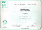 Certificado de Participaci&oacute;n